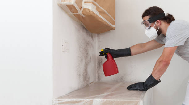 Professional Bathroom Mold Removal technician working in Gwynn Oak, MD